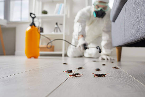 Commercial Kitchen Cockroach Control in Friend